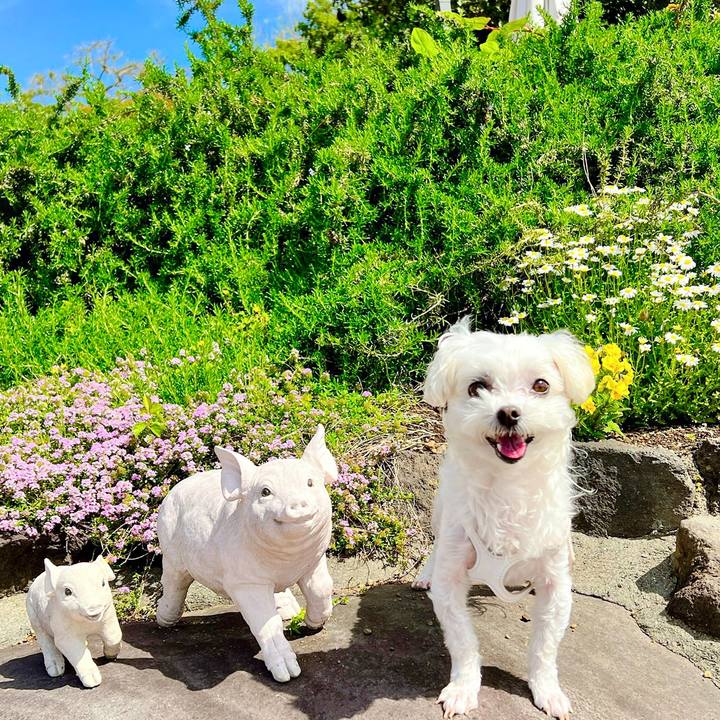 B002aa25 375a 49bd a414 ebaa781c2003 1682342055406