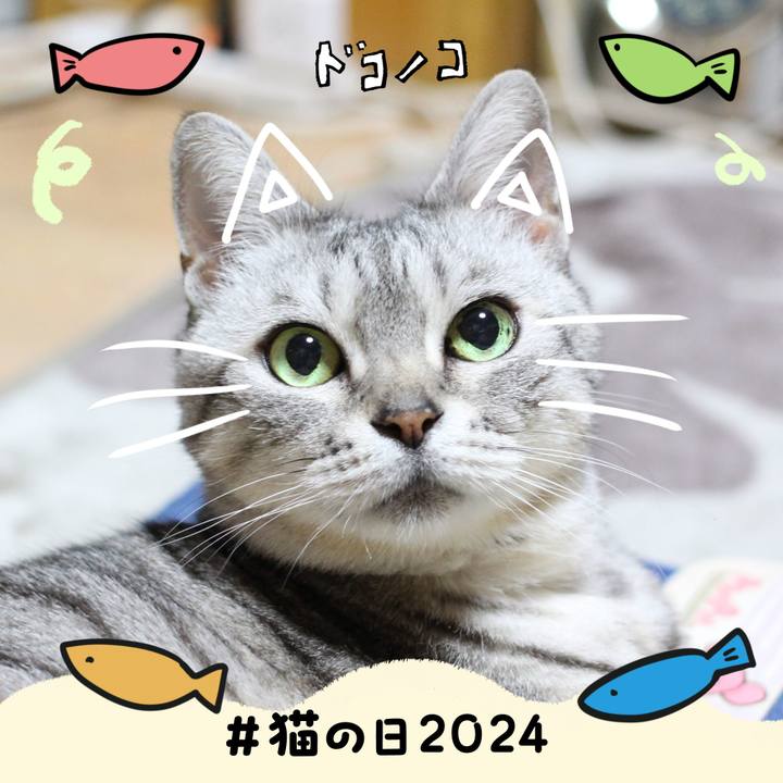 B002aa7e 9d84 4bc5 954a 07d283072dbf 1708558293586