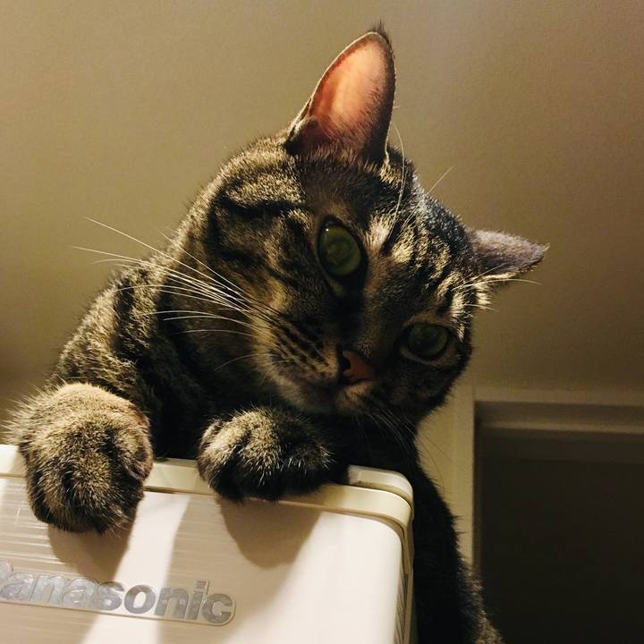 B002f2f5 6359 4d28 bab6 f69ef2bd6f89 1569501787515