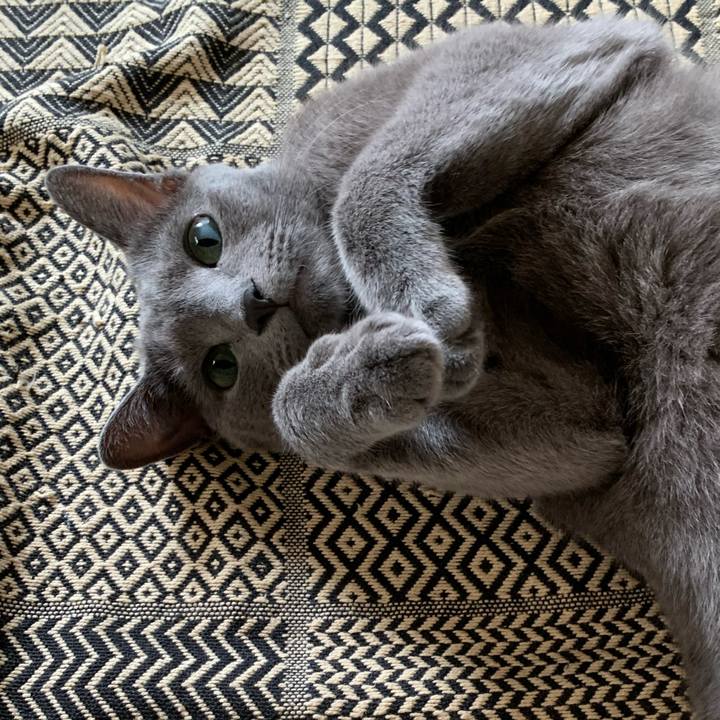 B0030f17 f1de 47b3 981d 07e38b10cbe3 1599444374883