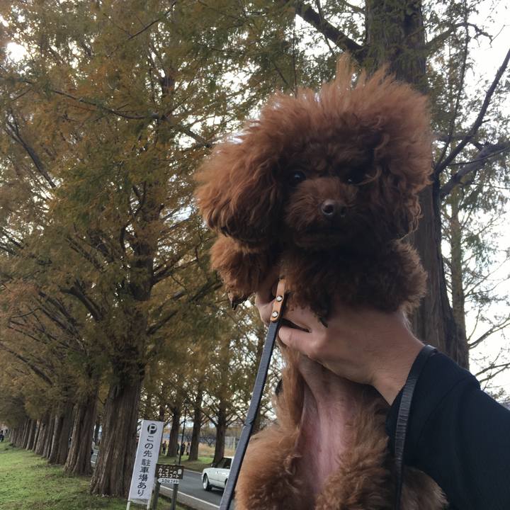 B0032f29 94f8 43a5 8a31 68ff5a48c4d2 1511692256317