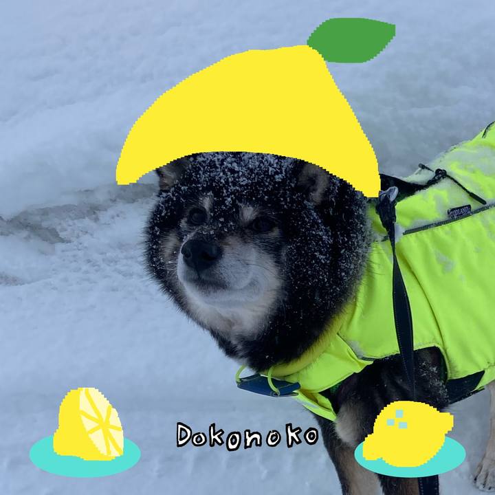 B0035ae5 280c 426c b9dd 98014043a4d6 1741246219645