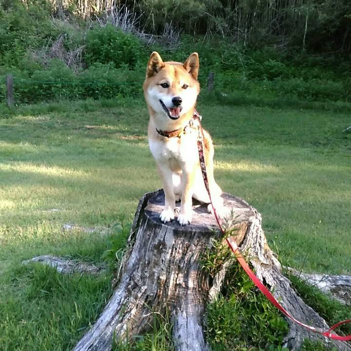 B0035db9 3b45 4535 bc6b ec1e78cddeea 1558921113184