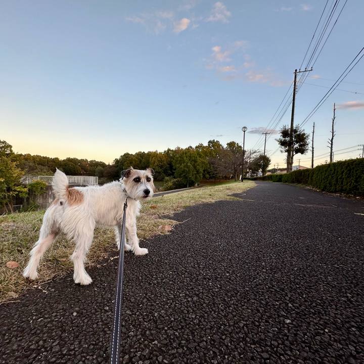 B00364f9 e7a4 45fb 8f80 f0c38a30489c 1732374973014