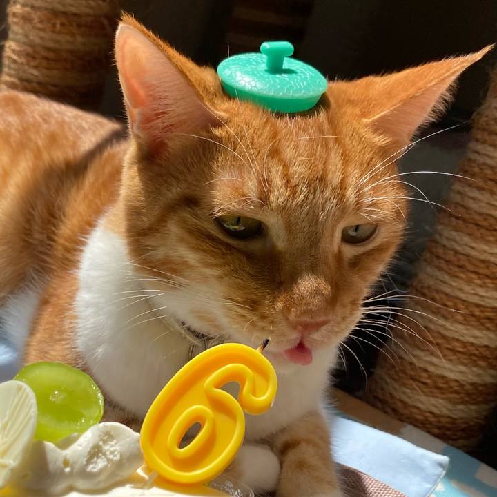 B0037b53 20ff 4db0 8642 eb172adf77e9 1662876687466