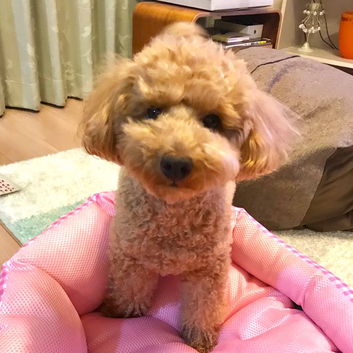 B0039020 0f9a 4b40 ad33 8116c4dcd27b 1524917043084