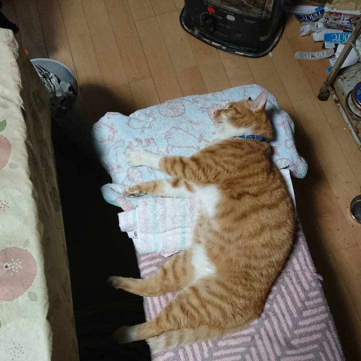 B00393ce 0a50 4b6b 8efe db8c8c19ebf3 1606859054168