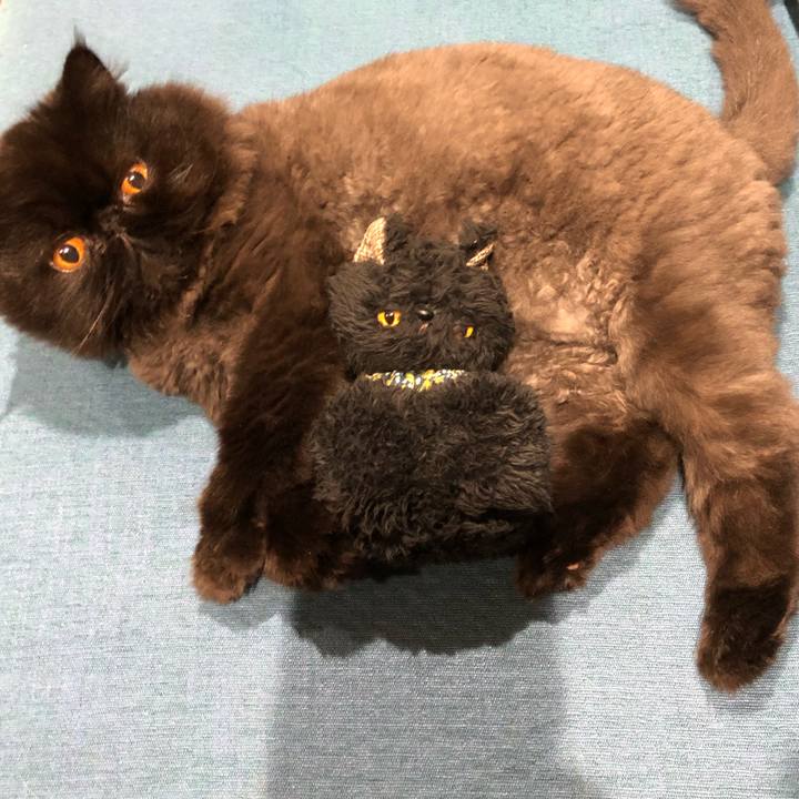 B003ad6a 6d67 4c97 a11c c864191ea62c 1627389180919