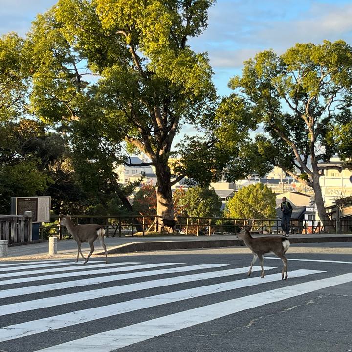 B003b8a3 732e 4d64 845f 0fe00516e96e 1700913797760