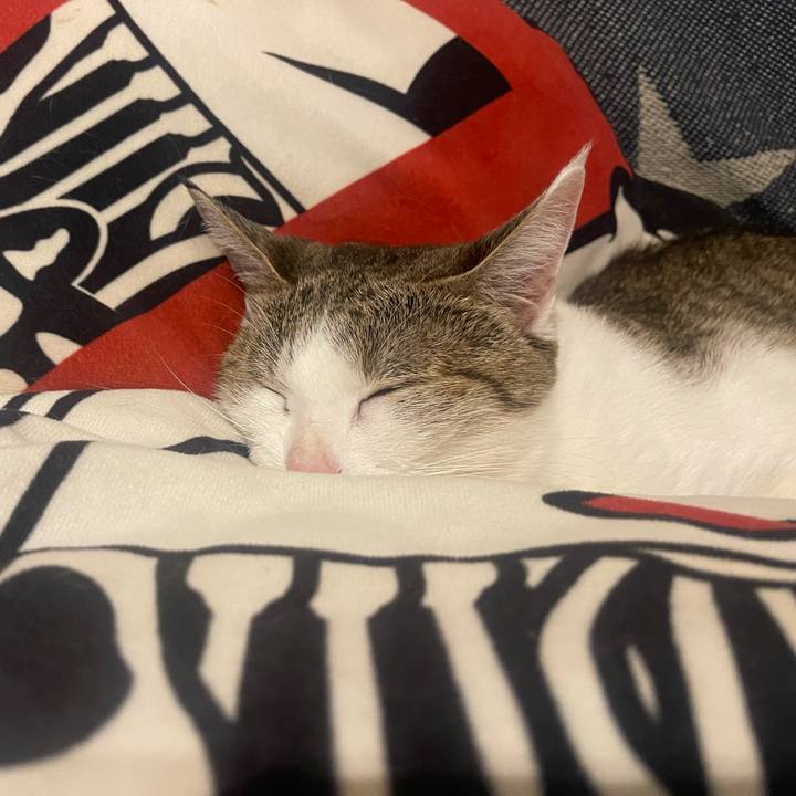 B004403b bf1e 428e 9d75 4d1245dc9b1a 1633263400557