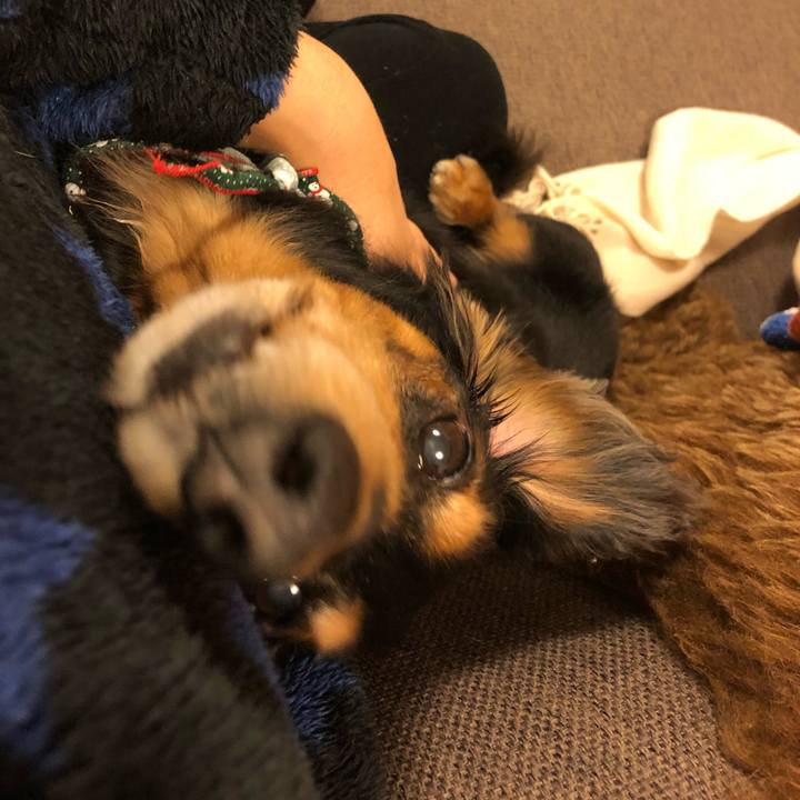 B0047968 19dd 41b2 b3f8 309f00b882c2 1545659793858