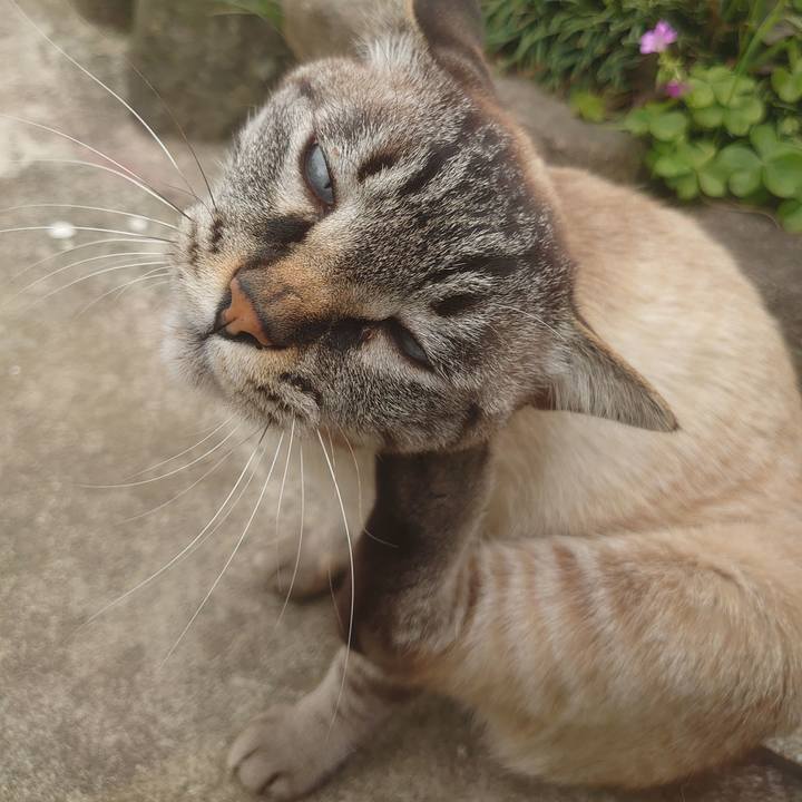 B0049ab0 6d4c 476e af3c 7e65b165d9ce 1620098320688