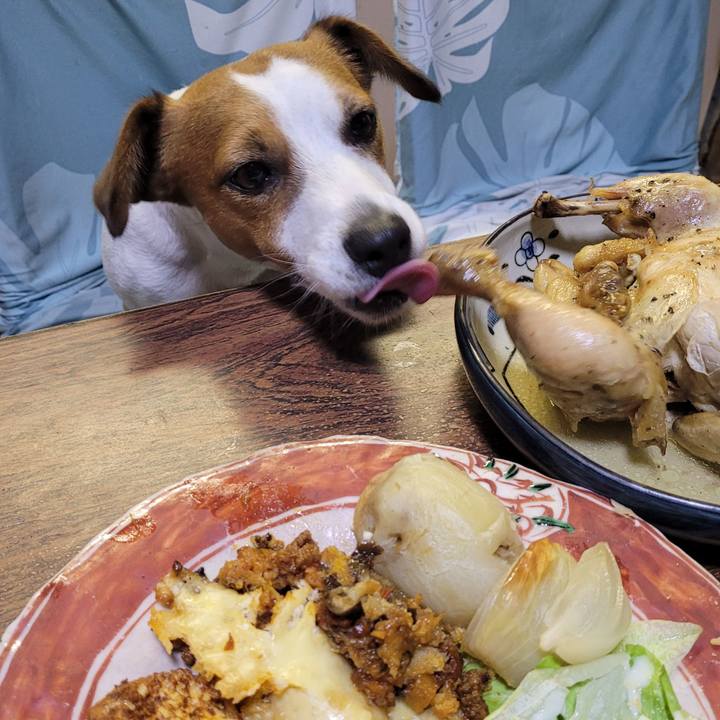 B004aca1 0a2d 4cf9 be89 67a63d9771f6 1700736046113