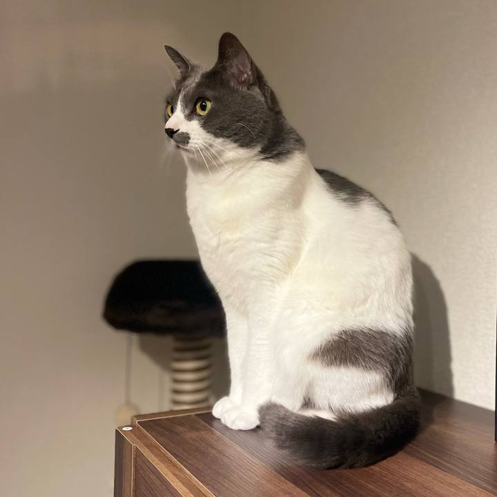 B0050f05 b86a 44b9 bd24 b436645c59bc 1668519861033