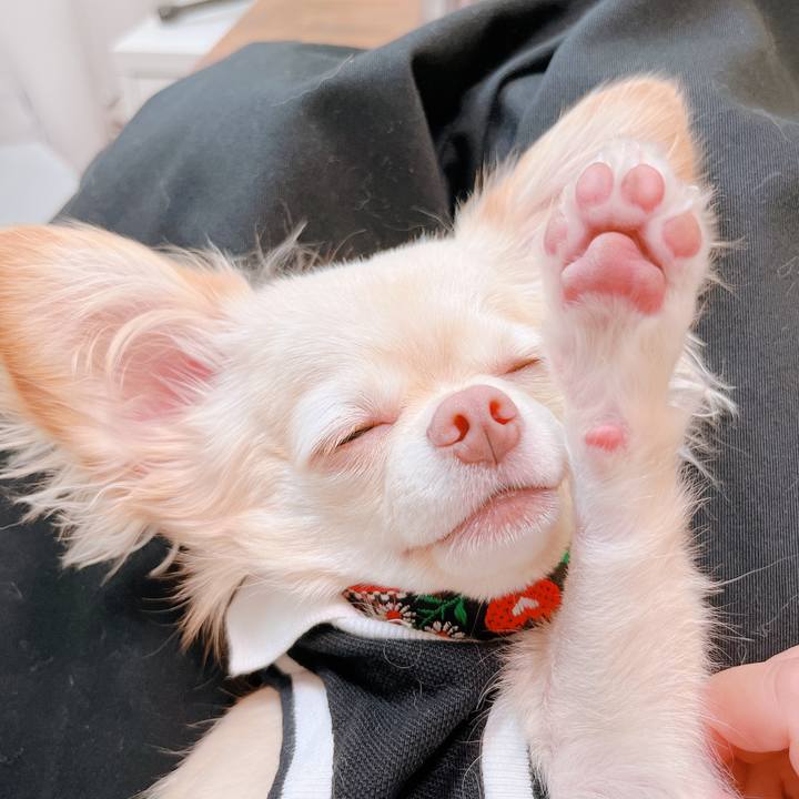 B0053b9a 034d 4818 87da fdcbd200e352 1661138220533