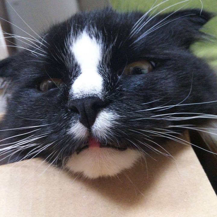 B0054f68 1ff3 4aa6 94bf b296b83ac69a 1655119582261