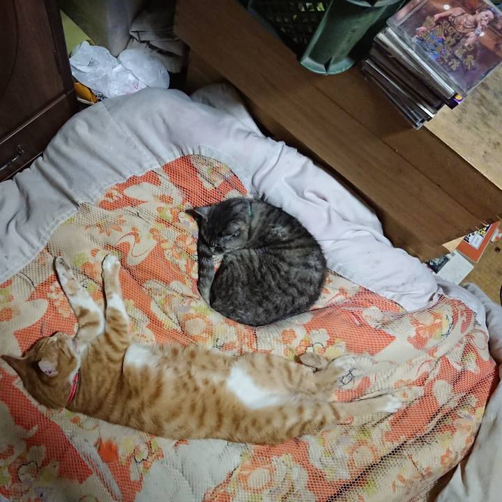 B00563c7 5c78 4141 b0ad e3a10eb6581f 1570109866505