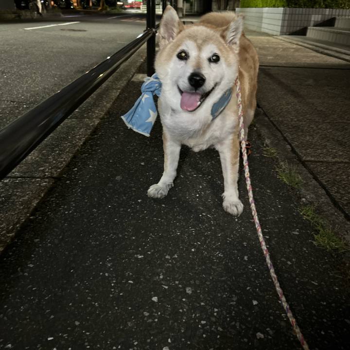 B0056c09 533b 4a8d 991b 001d7d0660cf 1753267405787