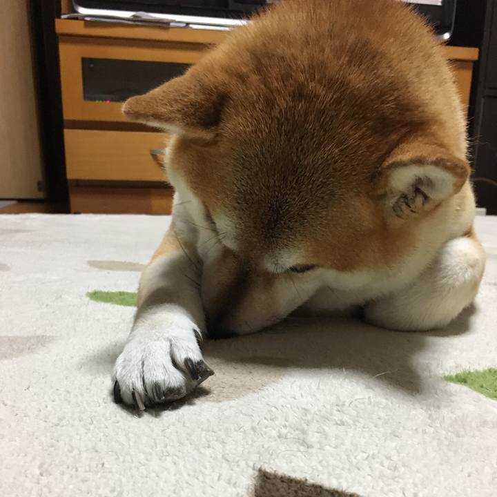 B0057b5f 56e2 4fee aa13 89253dc27595 1571302767510