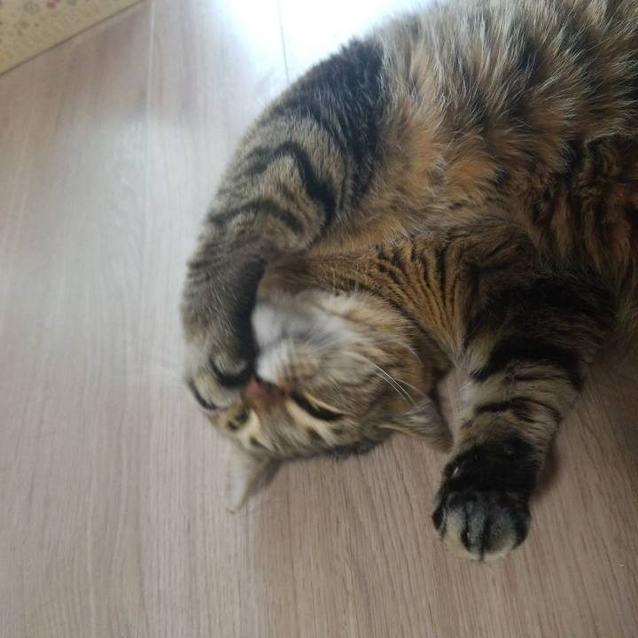 B005818d 3ebd 49d1 a257 ba0d44640aef 1587673678416