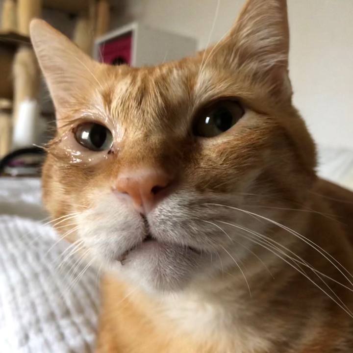 B0059cb2 d994 43c8 b184 d8681ee79f82 1600033785916