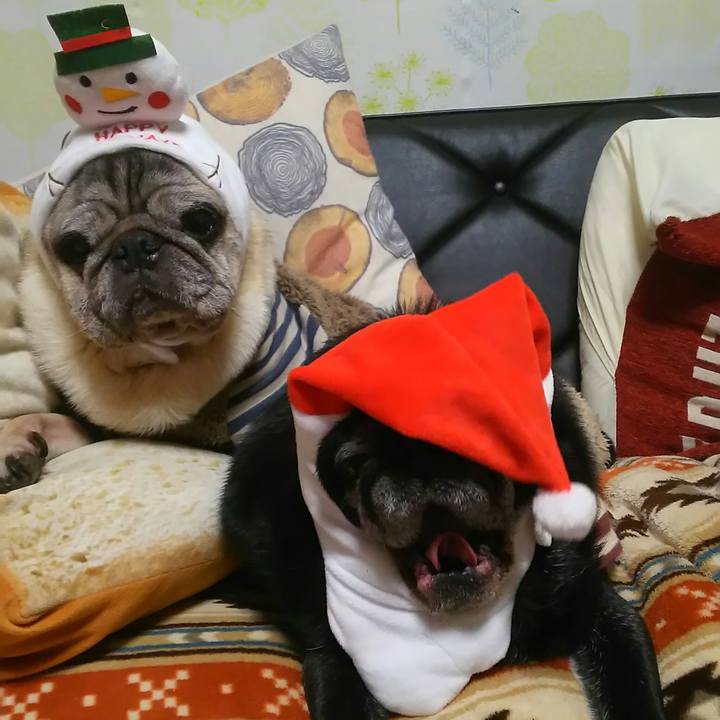 B005a48b 6de9 41f2 8f0f fa513f0500c0 1513864754568