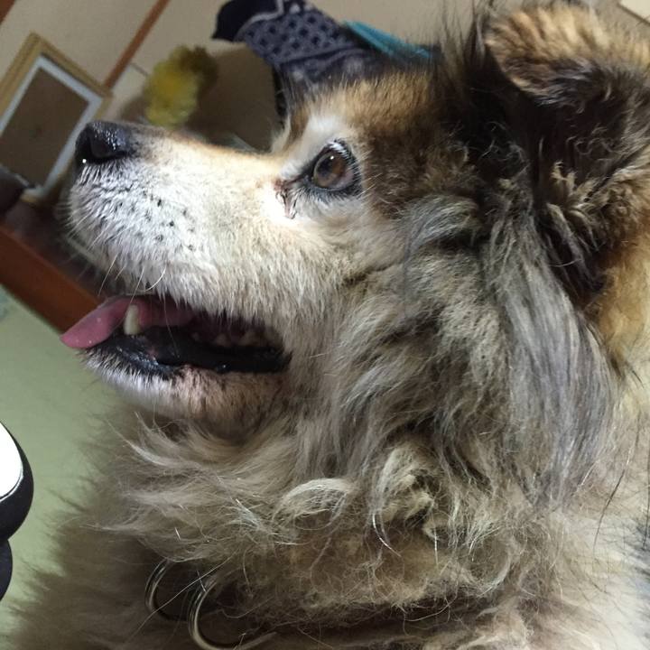 B005bb93 8aef 4038 b46f a6bae7d7e9c0 1618493615741