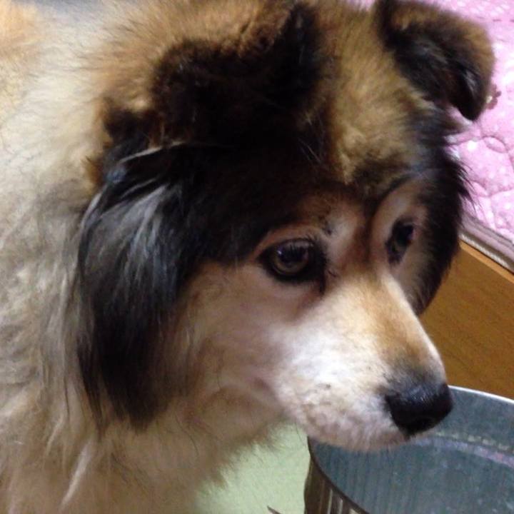 B005ec22 ddd7 4598 8e02 c15691d7b49c 1603682676479