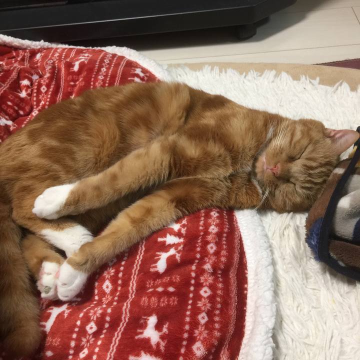 B0060c16 5e0f 4292 a5ed f2bf88fdd435 1582460607601