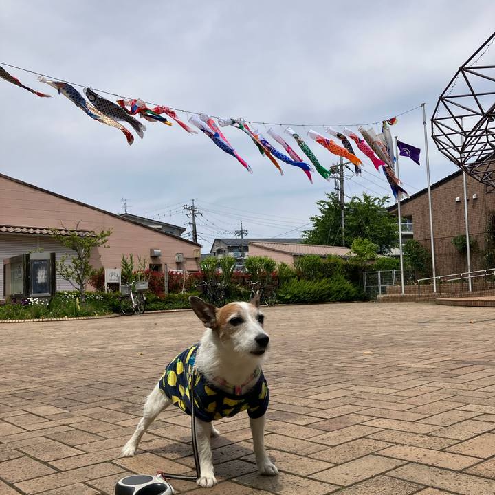 B00628d9 b2e4 43de a582 ef37b261060a 1683245087774