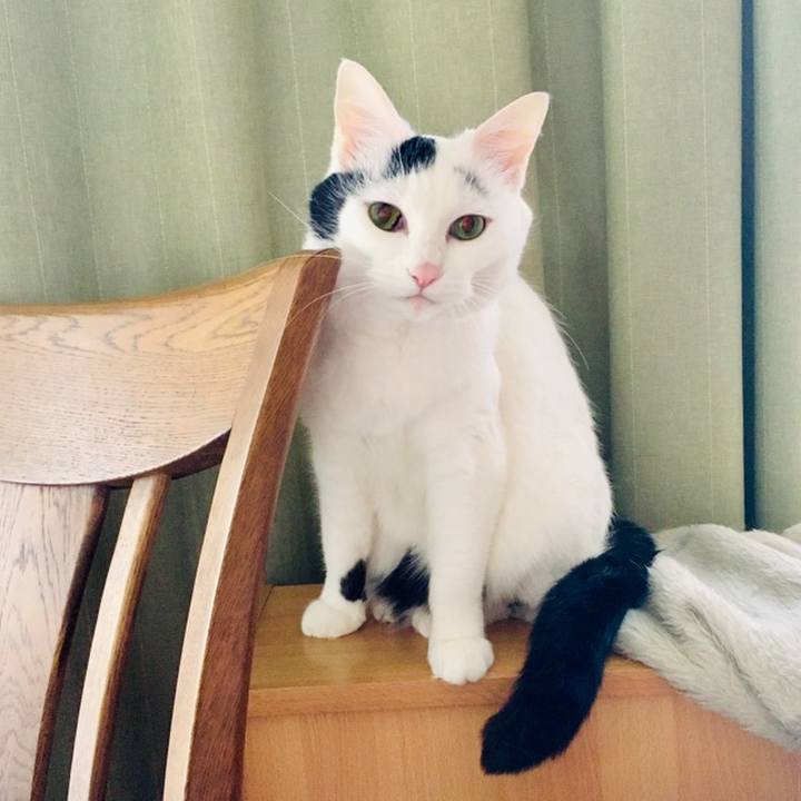 B006447f 2b3e 45e4 a663 cb681105be52 1559357494195