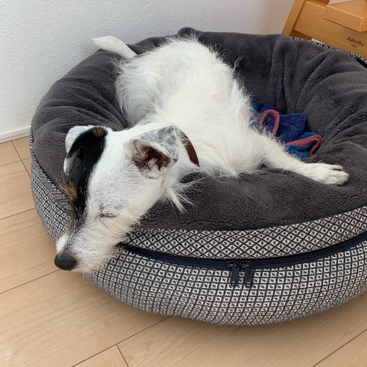 B006629e 3a1d 4903 b61a 67e9d984edf4 1653281361817