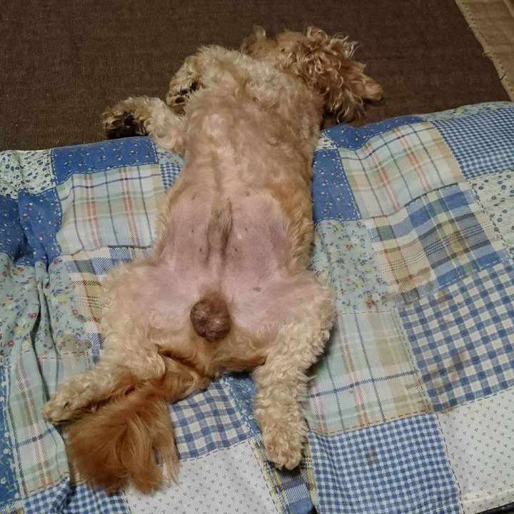 B0067571 fdfc 4957 84ac 341032cbef56 1564987217686