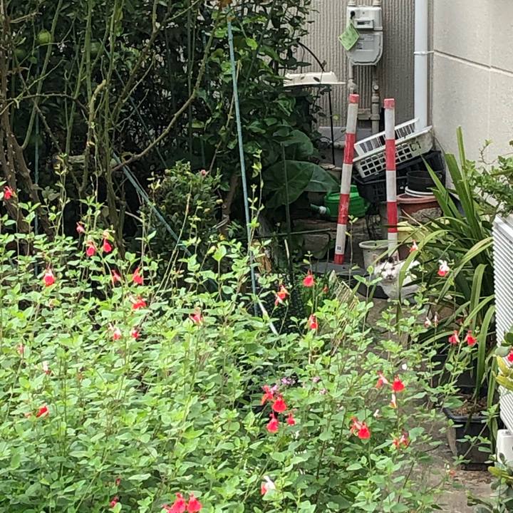 B006945c 12c9 4084 969b d3ccf2e67b5a 1603576149397