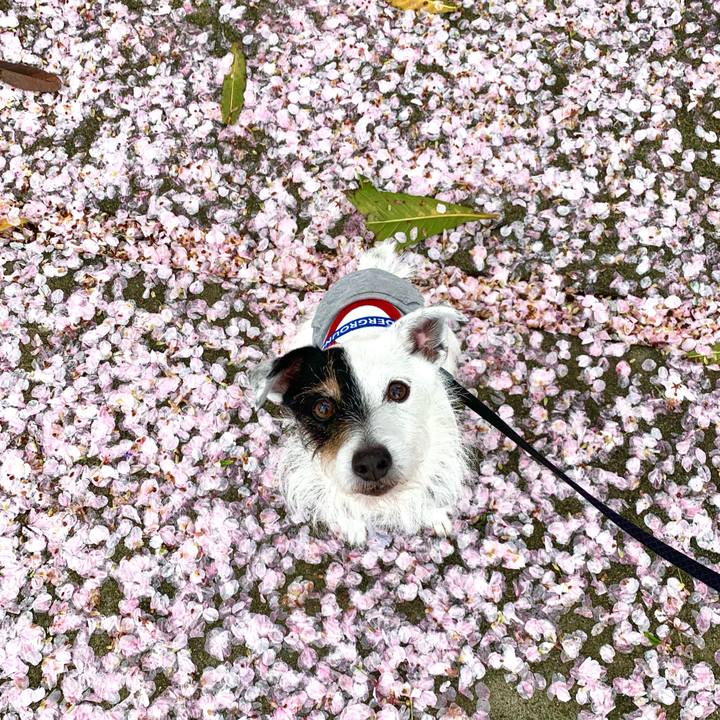 B006a3bf 4cf6 4d6f a822 5defee038817 1712647944245