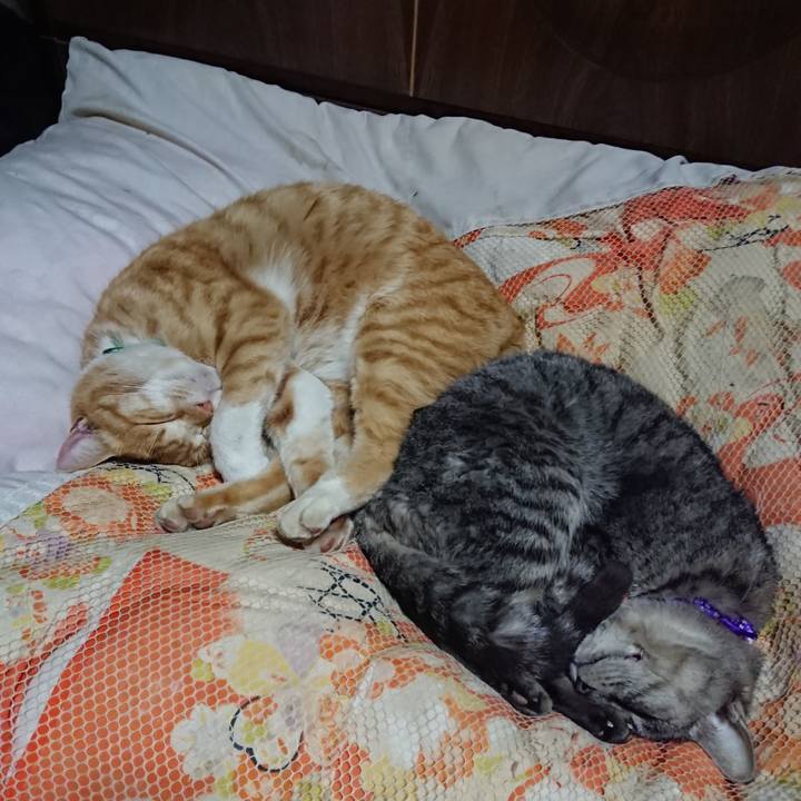 B006a4f2 3bc9 43a4 b969 a0b7ef2c3533 1581511881577