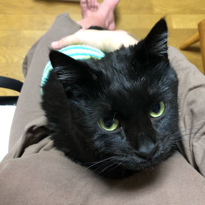 B006fa53 ce46 4b37 bd37 85ca66a549ee 1607595758097