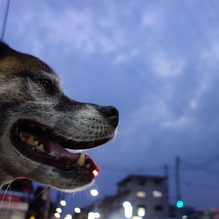 B0070089 240c 4e59 a8df e09763f20410 1678151708266