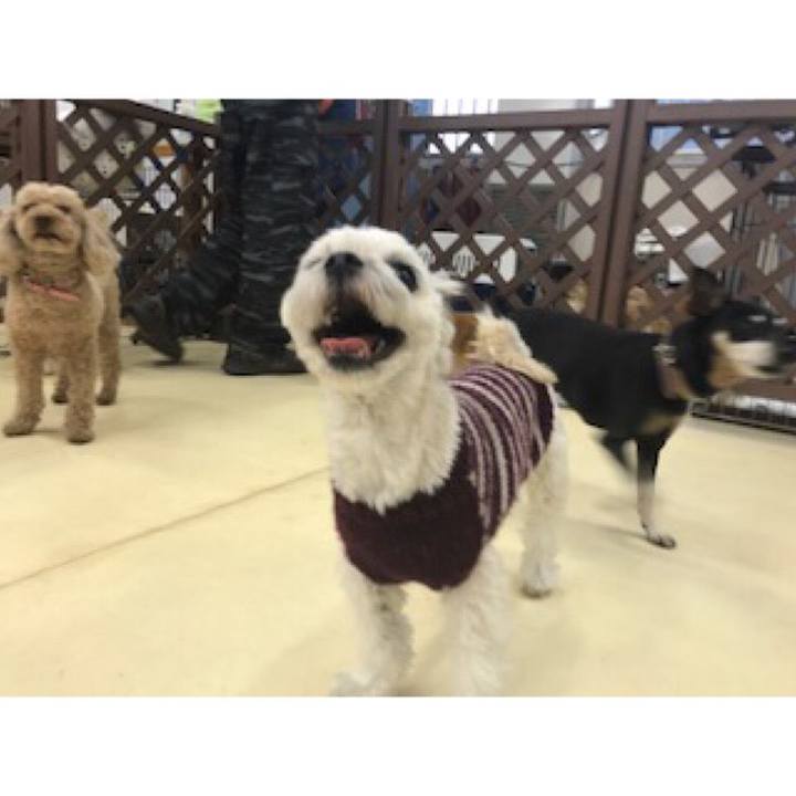 B00721d7 62b3 4acf 920f f7a1c67542c1 1518176431456