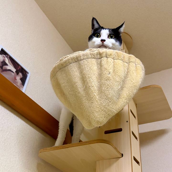 B00754ed f9a2 466d b0d1 ed84fe00a496 1765033798237