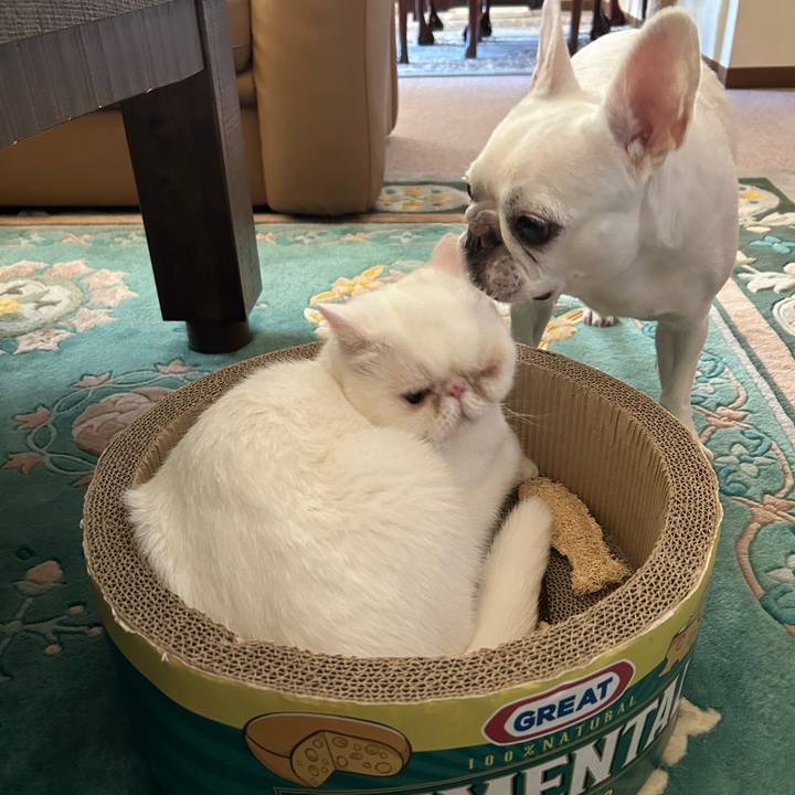 B007698e 7543 4a40 a2cc a01d4ceda97e 1690723793709