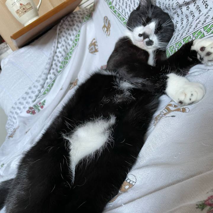 B0078336 db64 4fa5 ba50 ff071d571c81 1699602717557