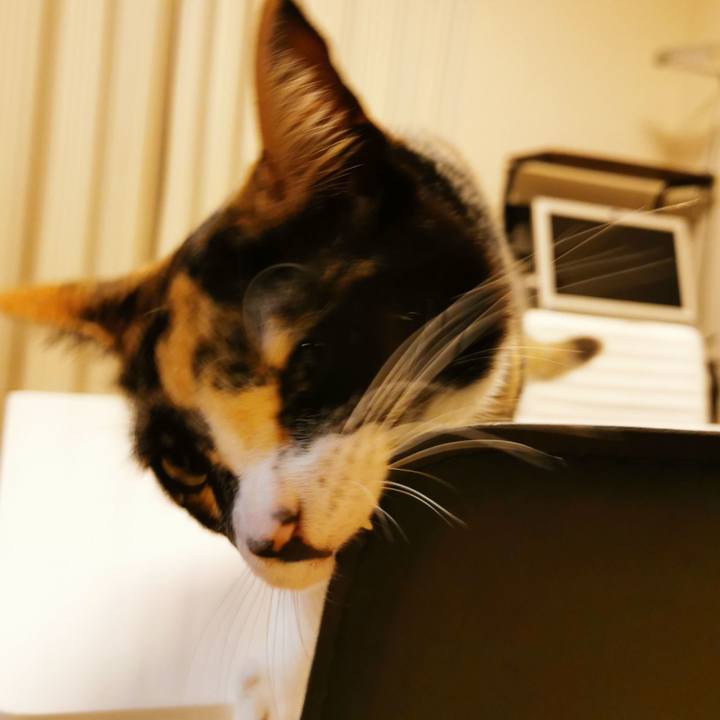 B0078a30 bacb 4266 ad61 6ca9d74f554e 1630309786652