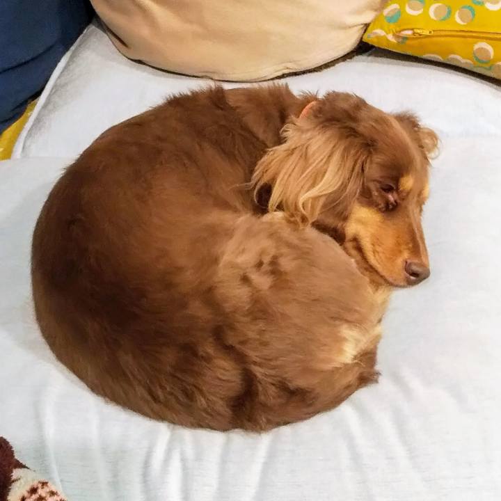 B0078dd0 f297 4e8d b8a5 3fa0641c825b 1546010389100