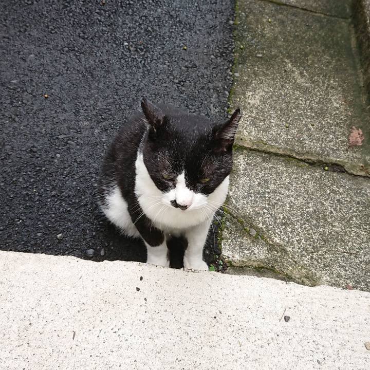 B007a500 73f1 45e9 919f 9896f64efca6 1694907423140