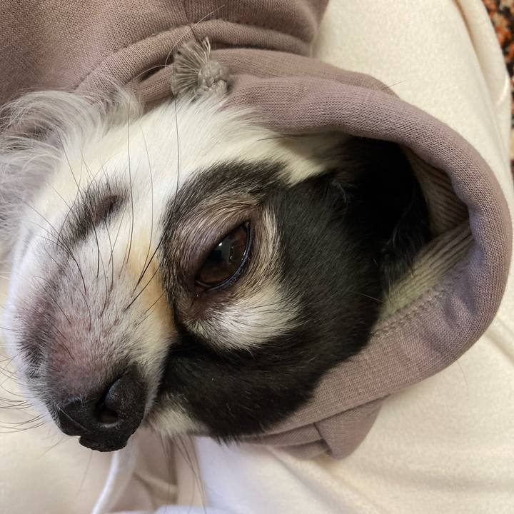 B007c9b4 f31d 4d23 9578 597bd6e50017 1674313652861