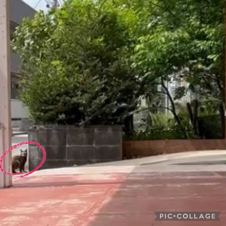 B007ceec efd1 4553 a06e db8dbb9f5a96 1746064825826