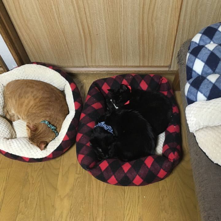 B007e355 834c 484e 9353 4909f69862c1 1549720293922