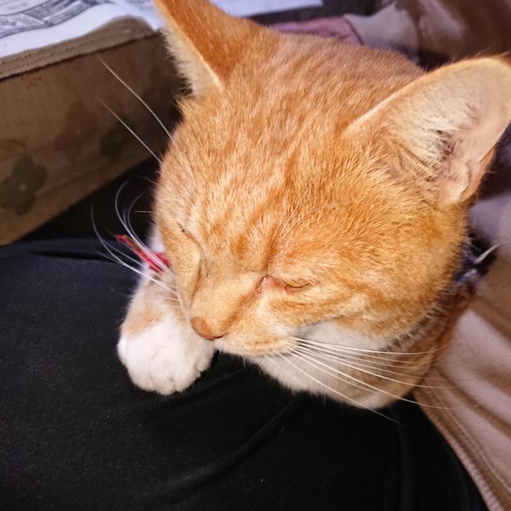 B007edc7 8768 4e82 be63 af74e09927b2 1573854277403