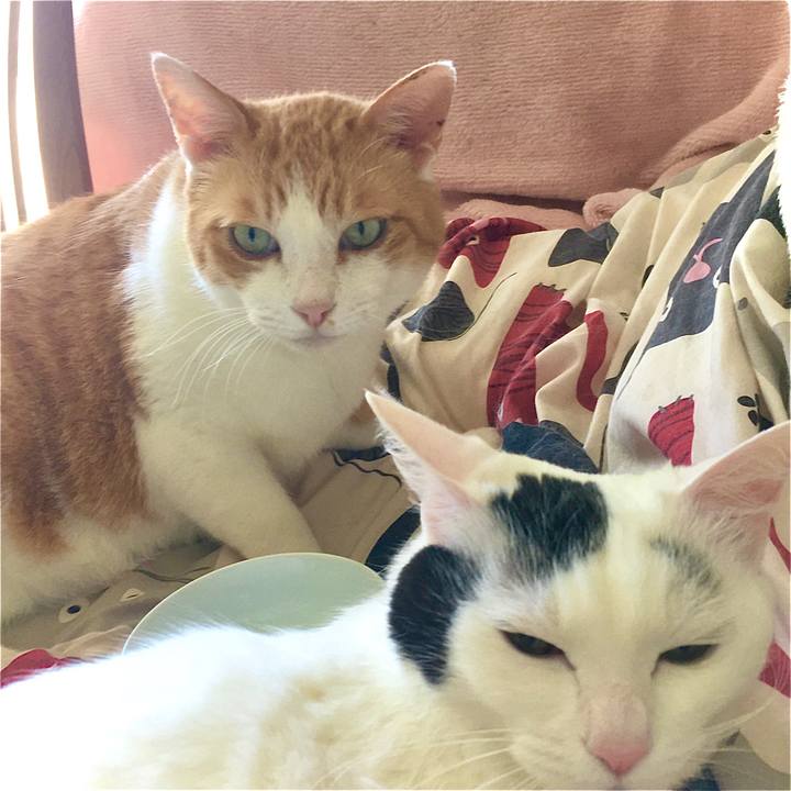 B00852c3 4420 43ea 9508 2c522c1e1b36 1589022819069